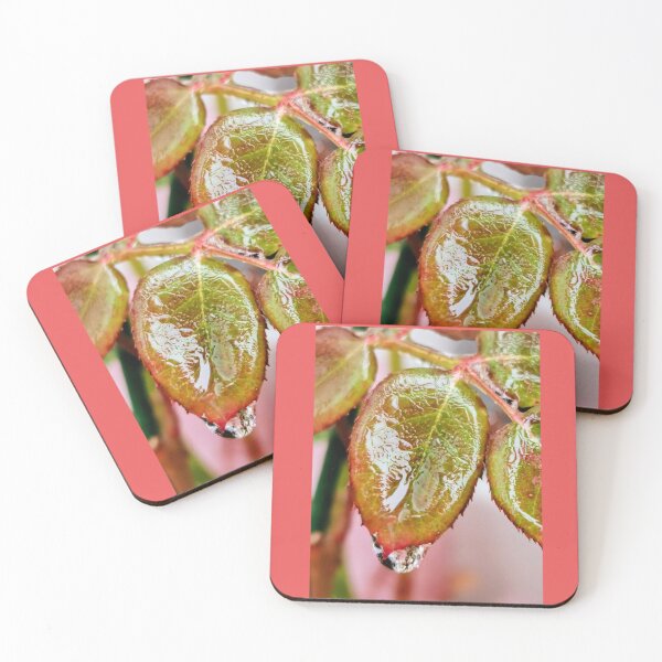 Item preview, Melted ice on a leaf in wintertime designed and sold by BooView.