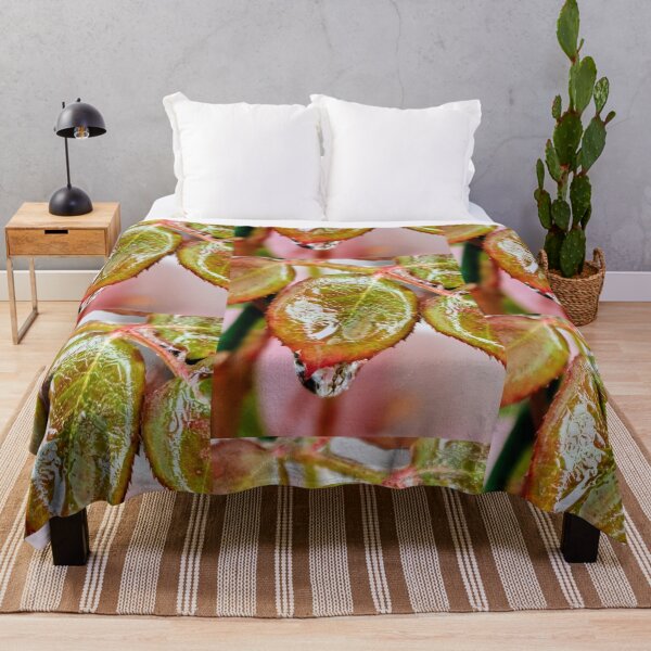 Item preview, Melted ice on a leaf in wintertime designed and sold by BooView.