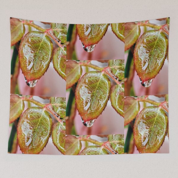 Item preview, Melted ice on a leaf in wintertime designed and sold by BooView.