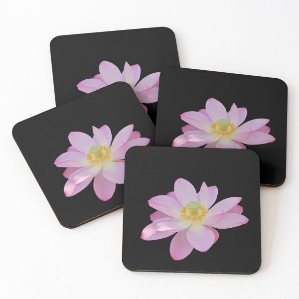Item preview, A pink sacred lotus (Nelumbo nucifera) designed and sold by annasofia.