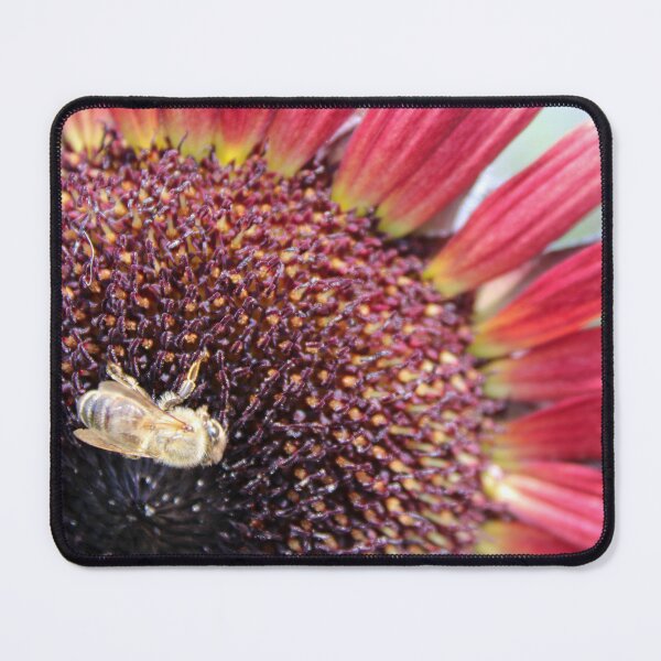 Item preview, Bee on Sunflower designed and sold by Birds & Beans Photography.