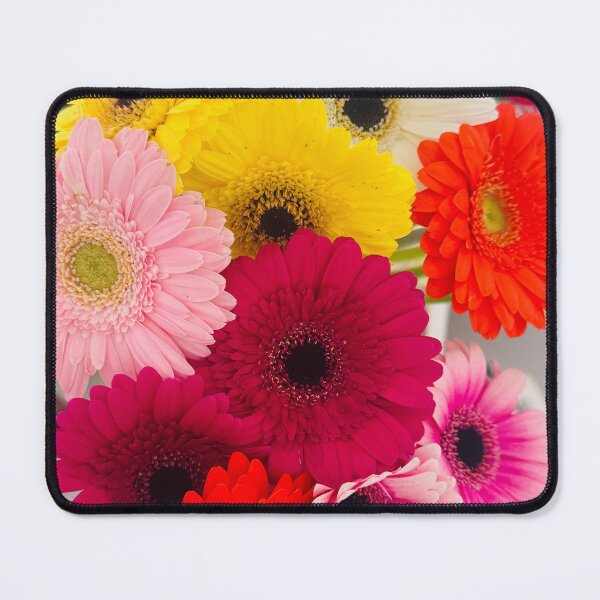 Item preview, Colourful Gerberas designed and sold by Jasbindar Singh.