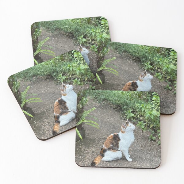 Item preview, WISHING designed and sold by MI33Designs.