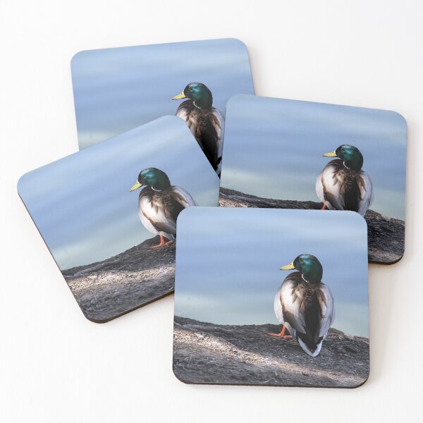 Item preview, Where Is Everybody? designed and sold by heatherfriedman.