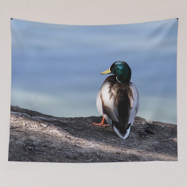 Item preview, Where Is Everybody? designed and sold by heatherfriedman.