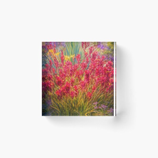 Item preview, Red Kangaroo Paw Flower Huntington Library Spring Garden Painting designed and sold by kornkobart.