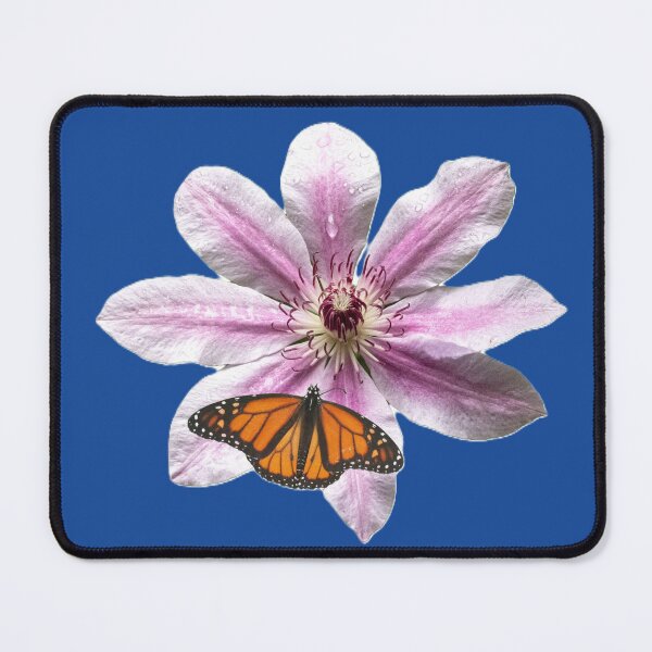 Item preview, A monarch butterfly (Danaus plexippus) perched on a pink flower. designed and sold by annasofia.