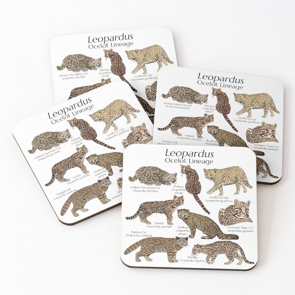 Item preview, Leopardus with Scientific Names designed and sold by GraceT26.
