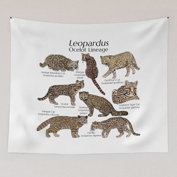 Item preview, Leopardus with Scientific Names designed and sold by GraceT26.