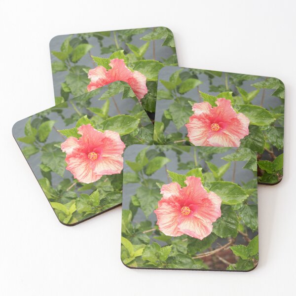Item preview, Vibrant Pink Hibiscus Bloom with Raindrops designed and sold by Rach Visuals.