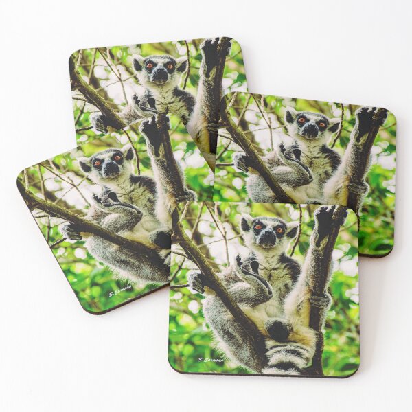 Item preview, Ring Tailed Lemur Funny Pose Wildlife Nature Photography designed and sold by AuraInkSC.