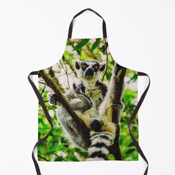 Item preview, Ring Tailed Lemur Funny Pose Wildlife Nature Photography designed and sold by AuraInkSC.
