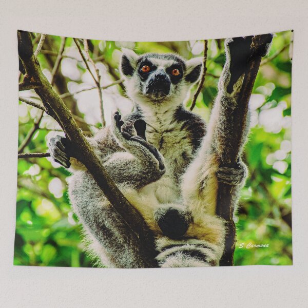 Item preview, Ring Tailed Lemur Funny Pose Wildlife Nature Photography designed and sold by AuraInkSC.