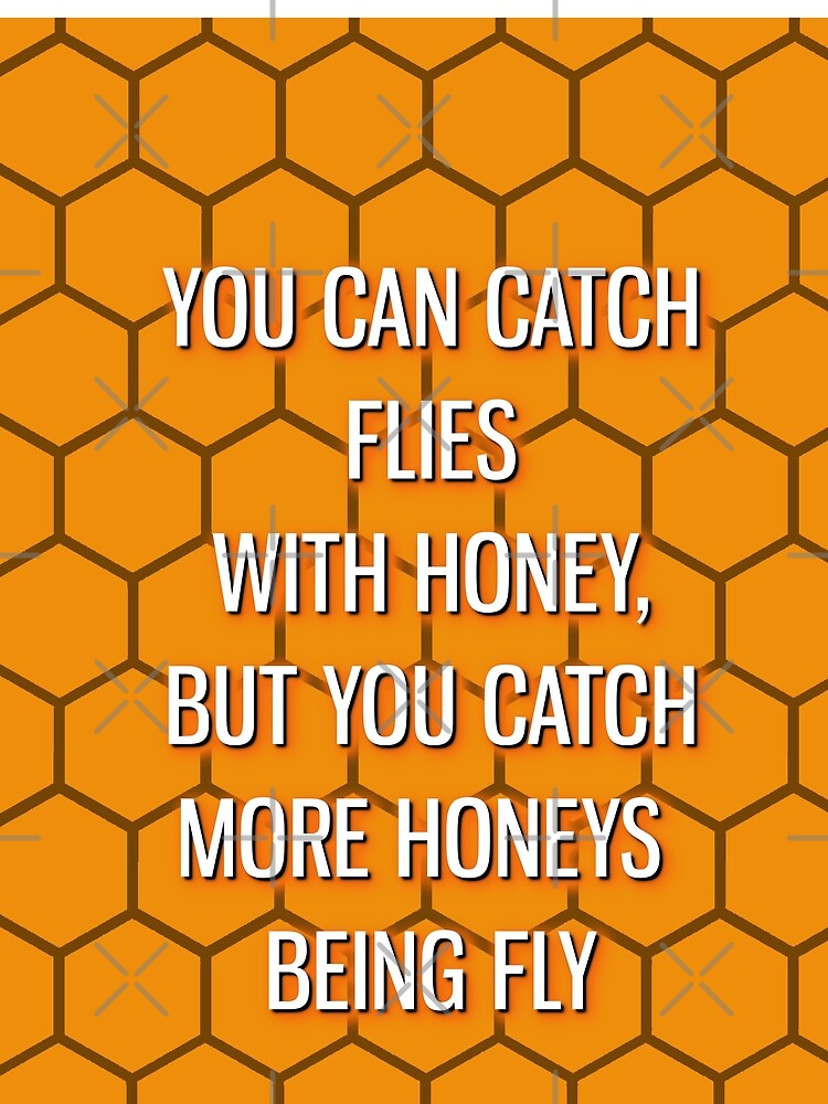 ""You Can Catch Flies With Honey, But You Catch More Honeys Being Fly