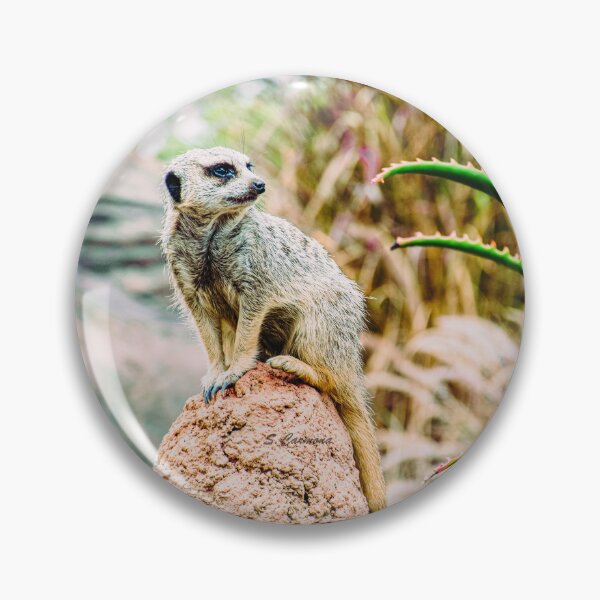 Item preview, Meerkat Nature Wildlife Photography designed and sold by AuraInkSC.