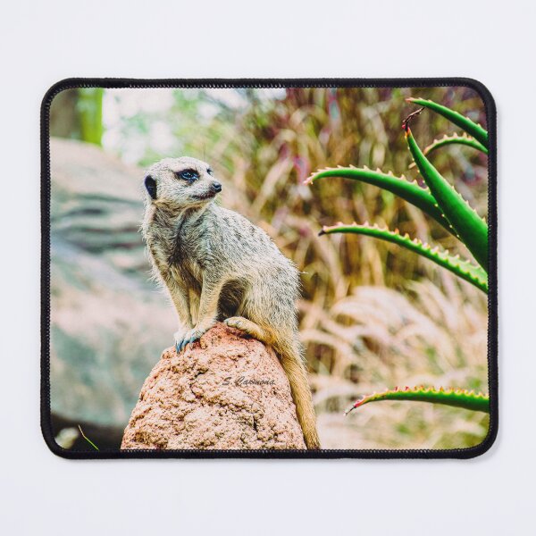 Item preview, Meerkat Nature Wildlife Photography designed and sold by AuraInkSC.