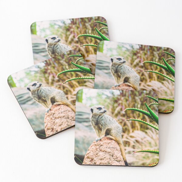 Item preview, Meerkat Nature Wildlife Photography designed and sold by AuraInkSC.
