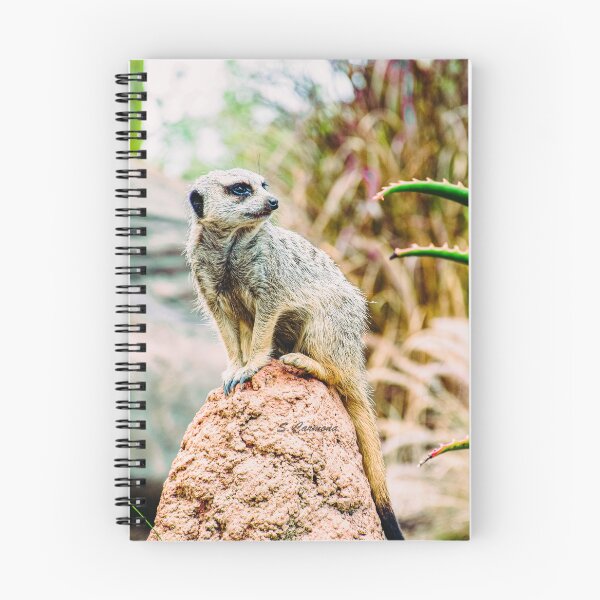 Item preview, Meerkat Nature Wildlife Photography designed and sold by AuraInkSC.