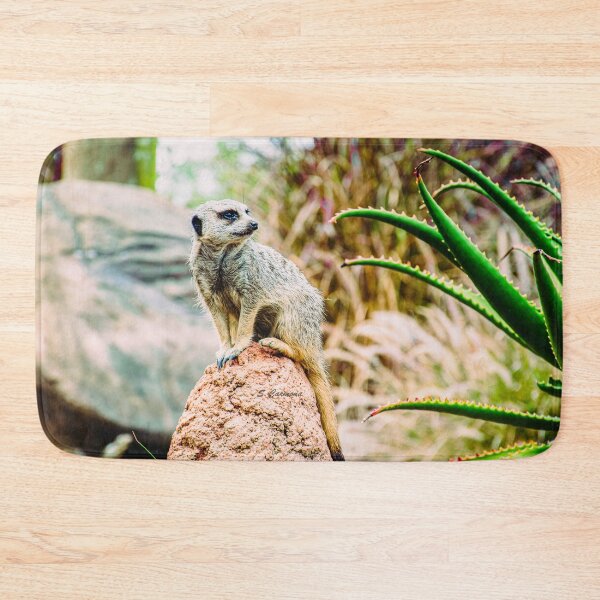 Item preview, Meerkat Nature Wildlife Photography designed and sold by AuraInkSC.