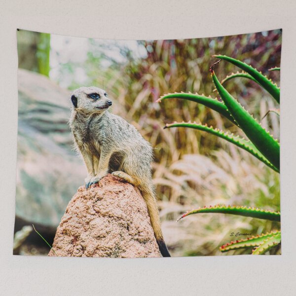 Item preview, Meerkat Nature Wildlife Photography designed and sold by AuraInkSC.