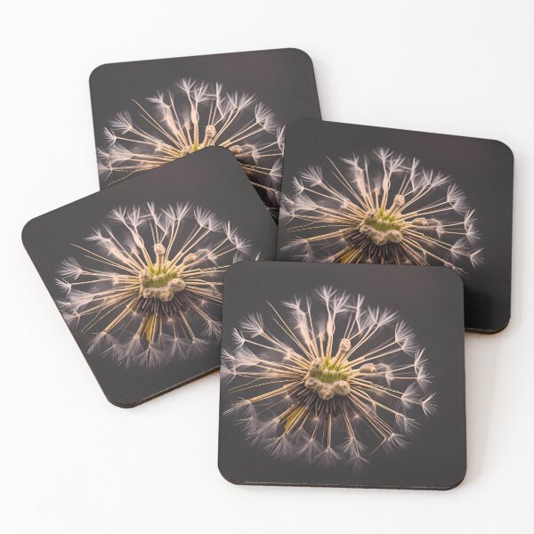 Item preview, Dandelion in the Light designed and sold by Sobucca.