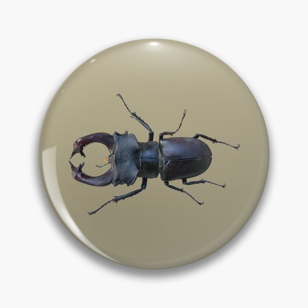 Item preview, Stag beetle male designed and sold by Anke  Haisch.
