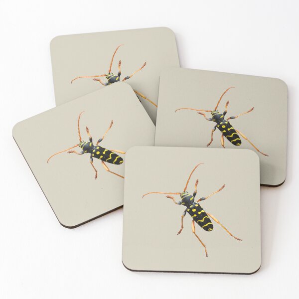 Item preview, Oak longhorn beetle designed and sold by Anke  Haisch.