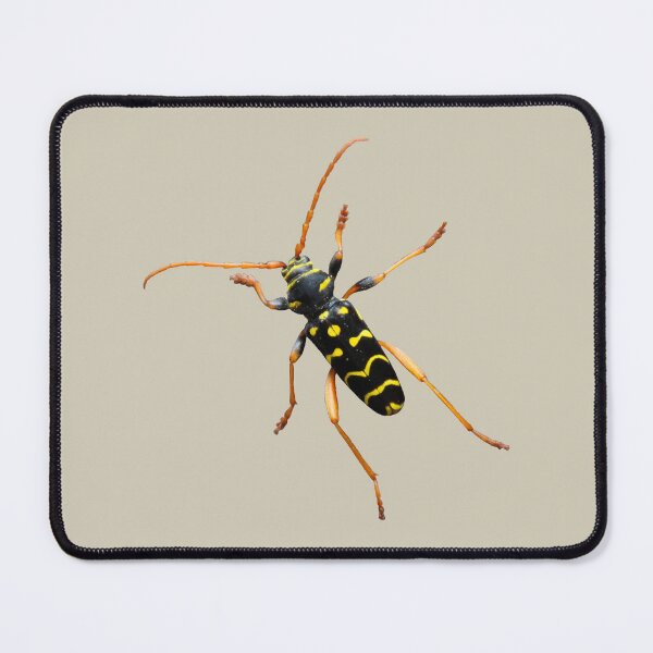 Item preview, Oak longhorn beetle designed and sold by Anke Haisch.
