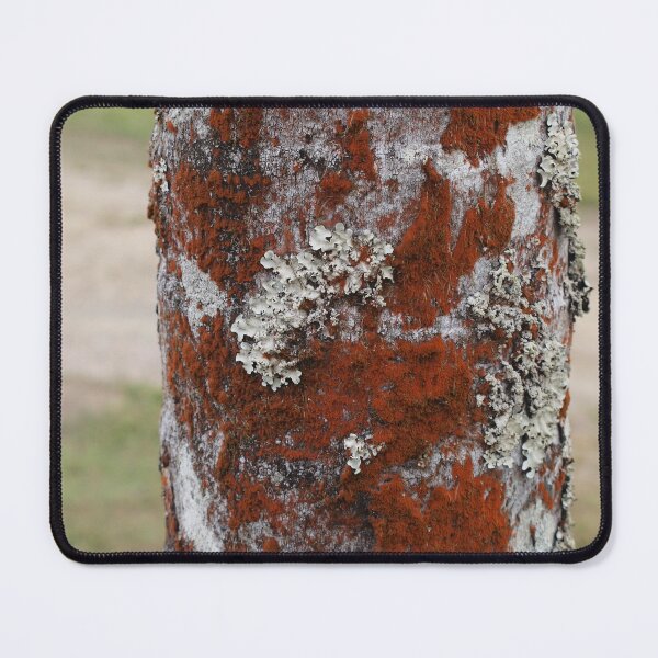Item preview, Lichen Your Outfit designed and sold by Pixsell Image.