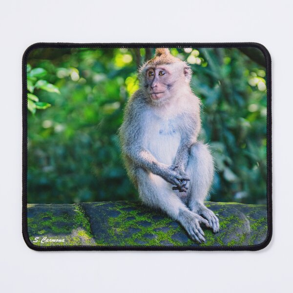 Item preview, Thoughtful Monkey Portrait Jungle Nature Wildlife Photography designed and sold by AuraInkSC.