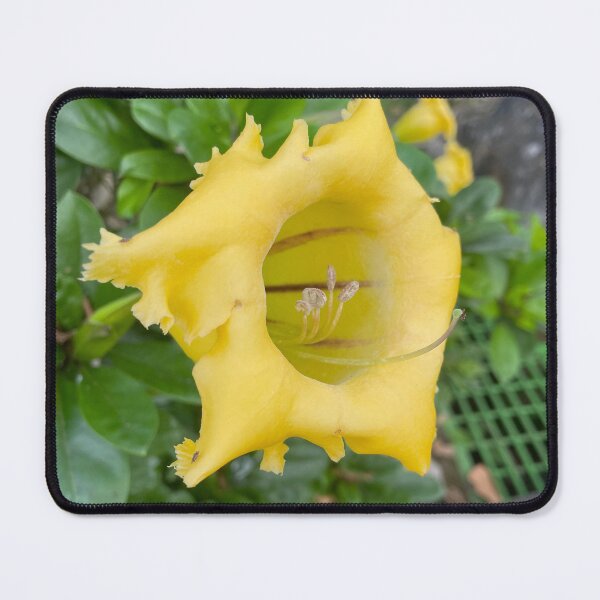 Item preview, Yellow Plumeria designed and sold by DewaAsta.