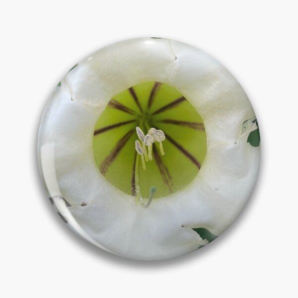Item preview, White Plumeria designed and sold by DewaAsta.