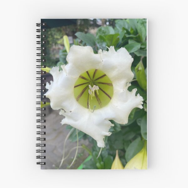 Item preview, White Plumeria designed and sold by DewaAsta.