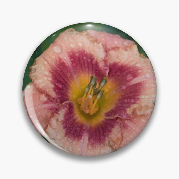 Item preview, Vibrant Orangey Pink Daylily Bloom with Raindrops designed and sold by Georgia Mizuleva.