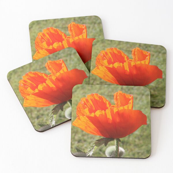 Item preview, Vibrant Orange Poppy Flowers in Summer Garden  designed and sold by alcame-photo.