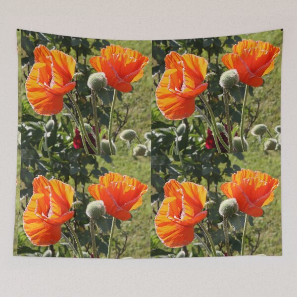 Item preview, Vibrant Orange Poppy Flowers in Summer Garden  designed and sold by alcame-photo.