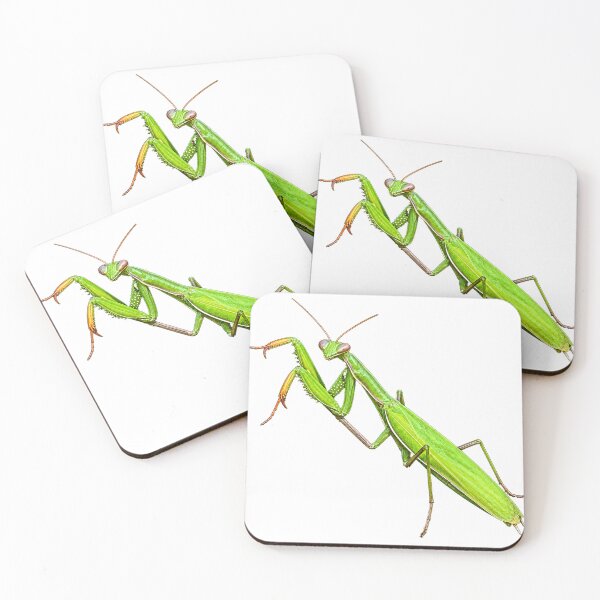 Item preview, Praying Mantis Life designed and sold by Malwasneues.