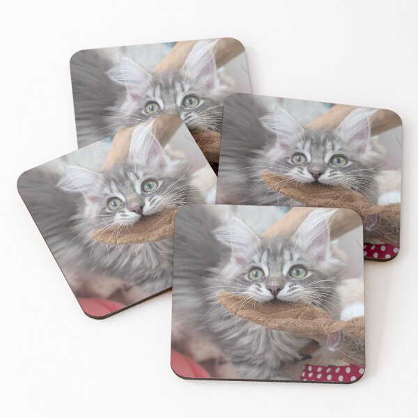 Item preview, Maine coon kitten  designed and sold by Fluffycat2020.