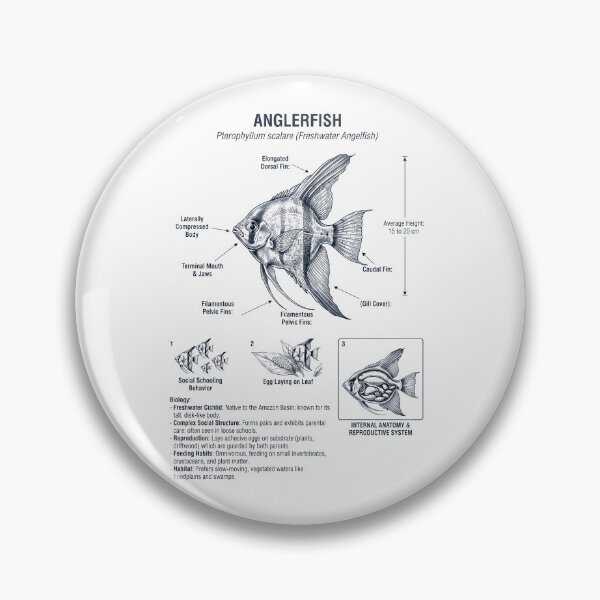 Item preview, Angelfish Scientific Anatomy Biology Animal Lover designed and sold by dian-rody-crest.