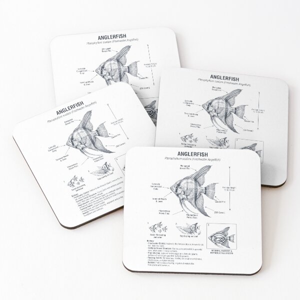 Item preview, Angelfish Scientific Anatomy Biology Animal Lover designed and sold by dian-rody-crest.