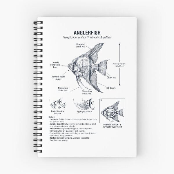 Item preview, Angelfish Scientific Anatomy Biology Animal Lover designed and sold by dian-rody-crest.