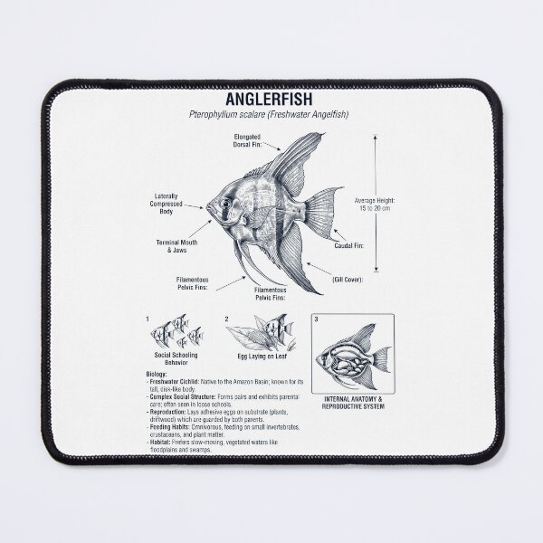 Item preview, Angelfish Scientific Anatomy Biology Animal Lover designed and sold by dian-rody-crest.