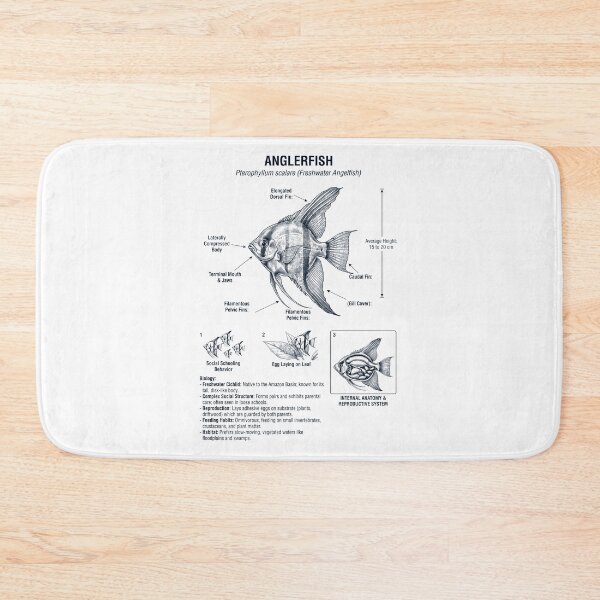 Item preview, Angelfish Scientific Anatomy Biology Animal Lover designed and sold by dian-rody-crest.