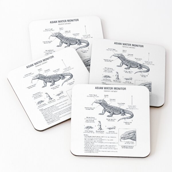 Item preview, Asian Water Monitor Scientific Anatomy Biology Animal Lover designed and sold by dian-rody-crest.