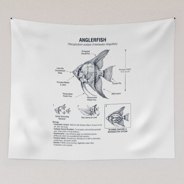 Item preview, Angelfish Scientific Anatomy Biology Animal Lover designed and sold by dian-rody-crest.