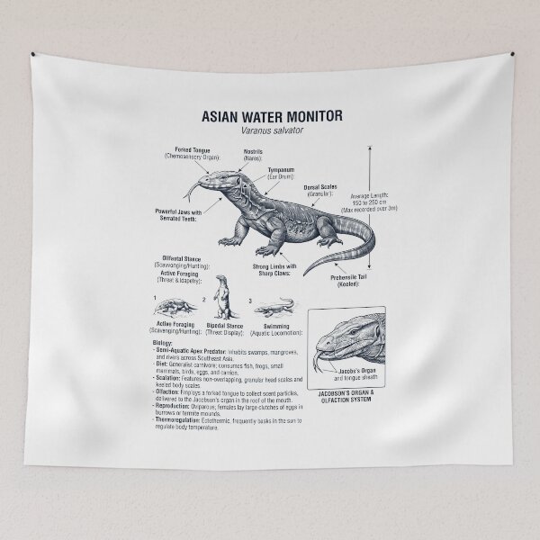 Item preview, Asian Water Monitor Scientific Anatomy Biology Animal Lover designed and sold by dian-rody-crest.