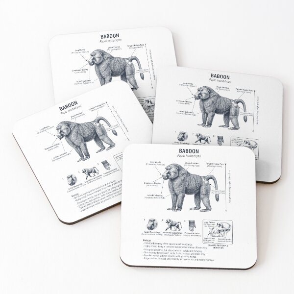 Item preview, Baboon Scientific Anatomy Biology Animal Lover designed and sold by dian-rody-crest.