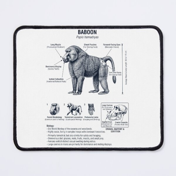 Item preview, Baboon Scientific Anatomy Biology Animal Lover designed and sold by dian-rody-crest.