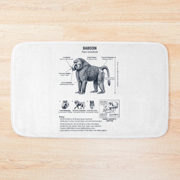 Item preview, Baboon Scientific Anatomy Biology Animal Lover designed and sold by dian-rody-crest.
