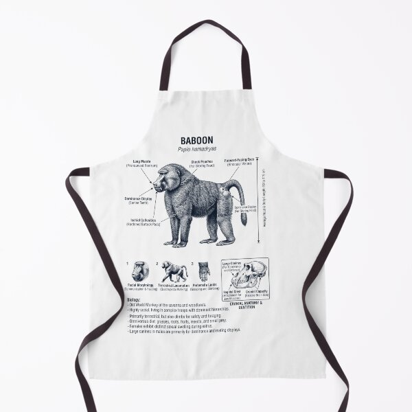 Item preview, Baboon Scientific Anatomy Biology Animal Lover designed and sold by dian-rody-crest.